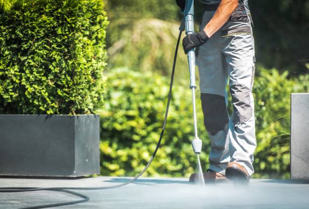 Best House Exterior Washing  in Mount Gilead, OH